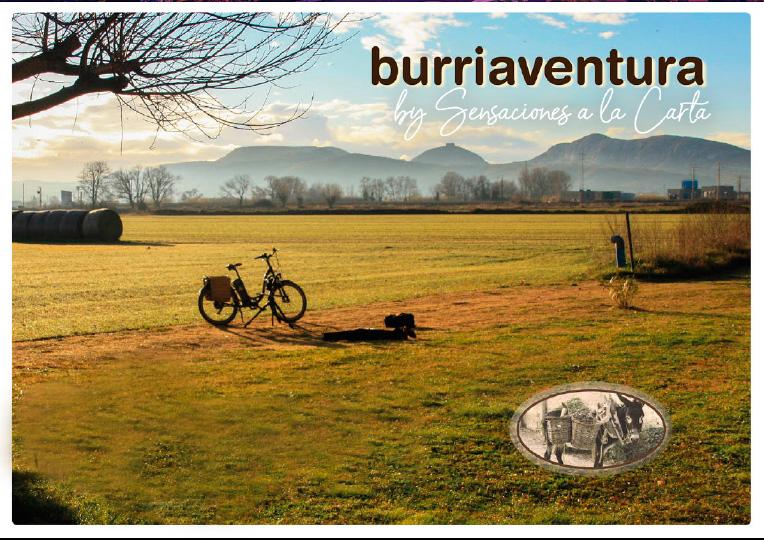 burriaventura