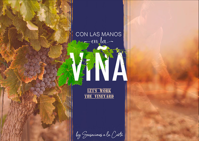 con las manos en la viña